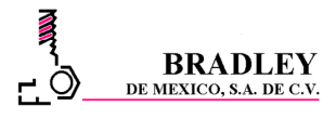 BRADLEY DE MEXICO, GRUPO BMT